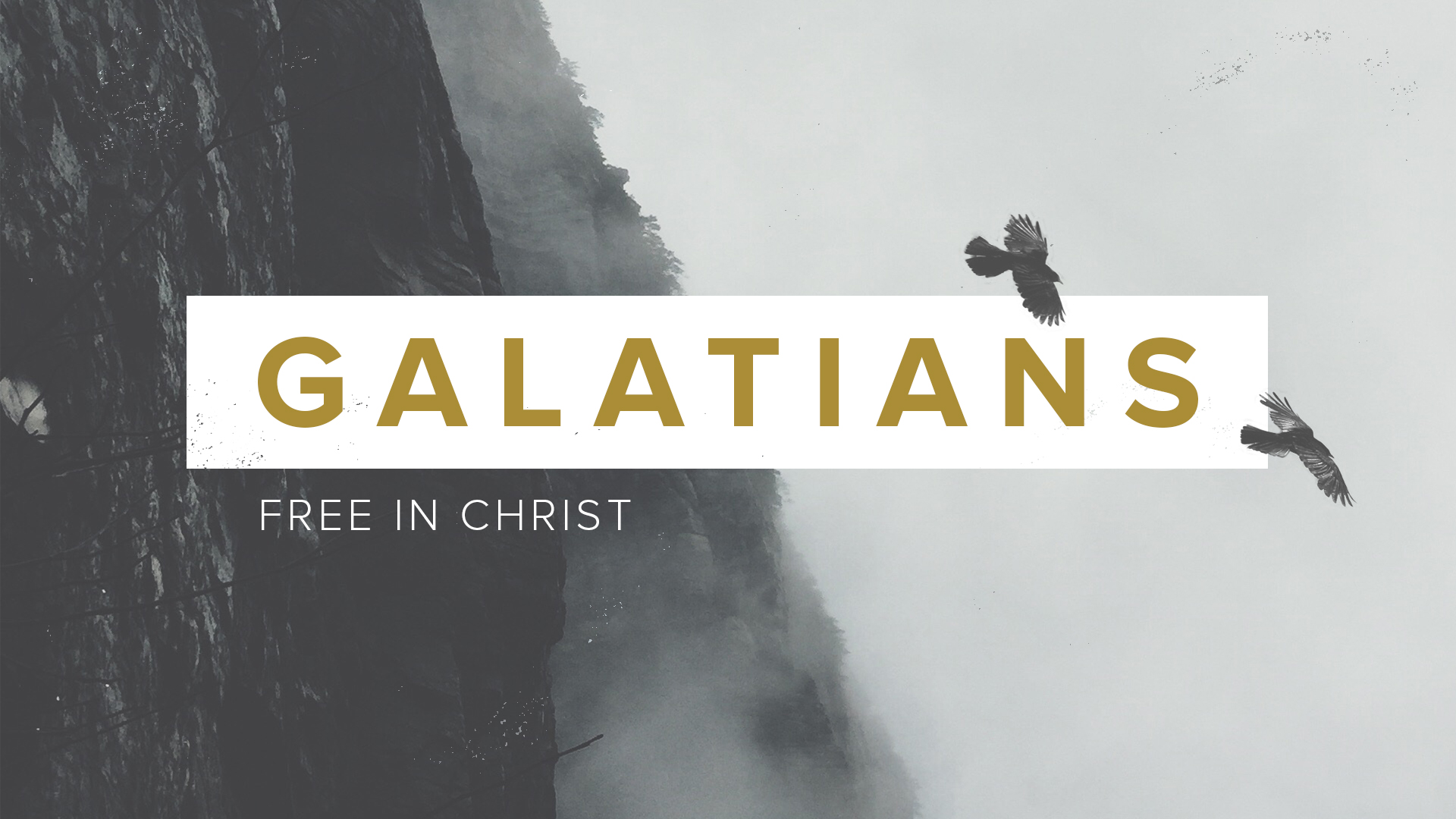 Galatians SS 1920x1080