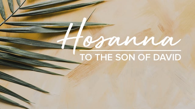 hosanna-to-the-son-of-david.jpg