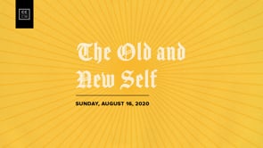the-old-and-new-self.jpg